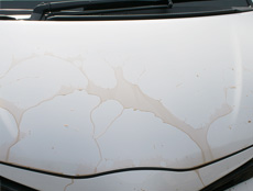 コーティング剤が汚れを弾く