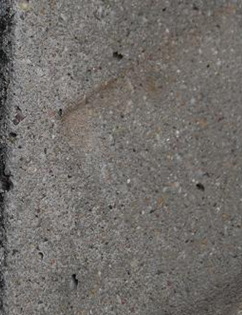コンクリート施工比較（塗布後10年経過） PROSPEC 多孔質用防汚コート剤
施工済