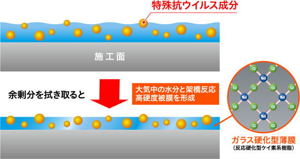 コーティング被膜のイメージ図