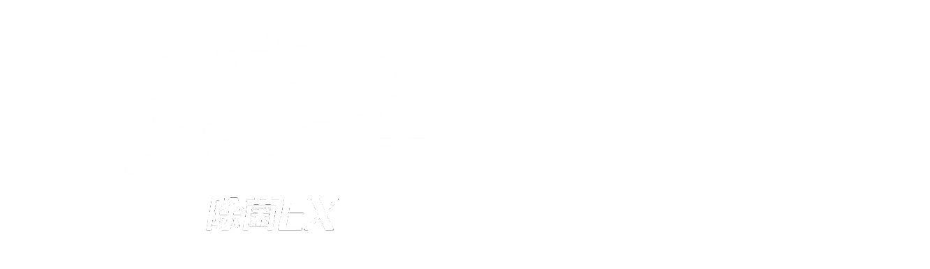 メガネのシャンプー除菌EX