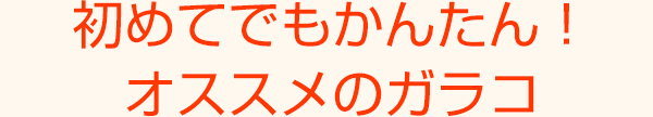 初めてでもかんたん！オススメのガラコ