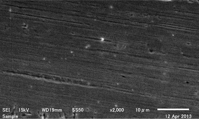 Surface state of the processing surface: Before application