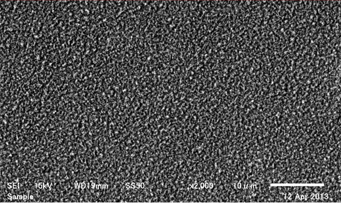 Surface state of the processing surface: After application