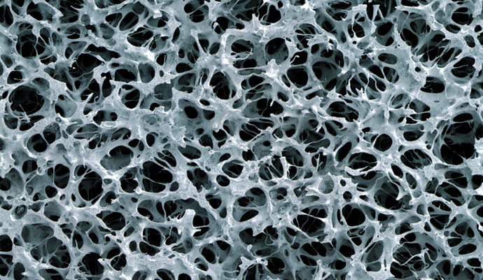 PVA porous body