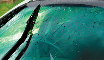 Glass coating < Spray type >, How to use products - Window, Car  Maintenance Guide