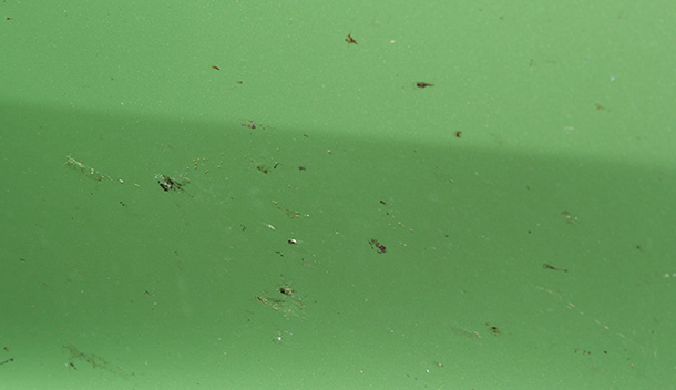 Fukupika Bugs & Droppings Removal Wipes