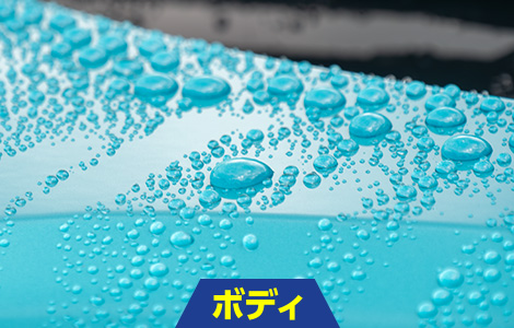 ボディ