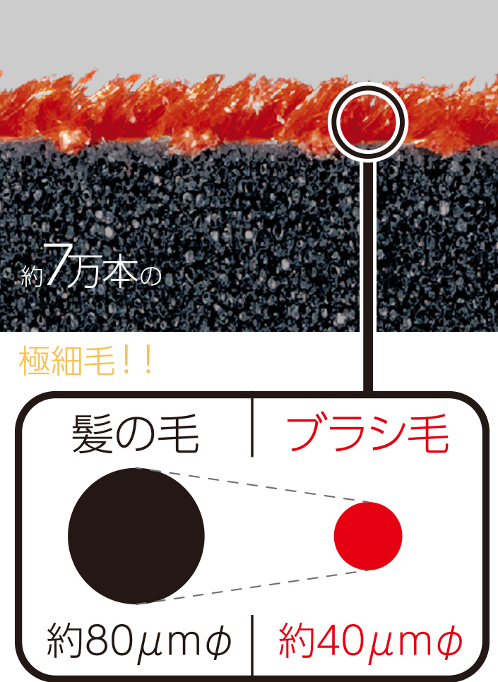 「超硬毛」×「網ブラシ構造」