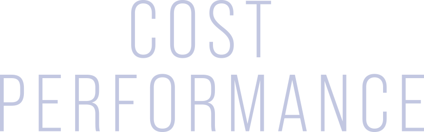 COST PERFORMANCE