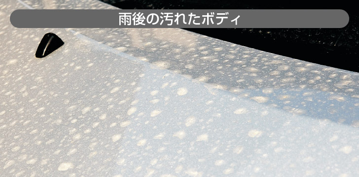 雨後の汚れたボディ