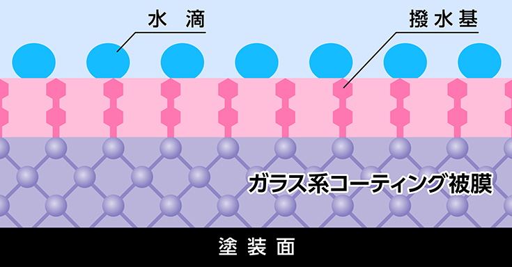 被膜組成イメージ