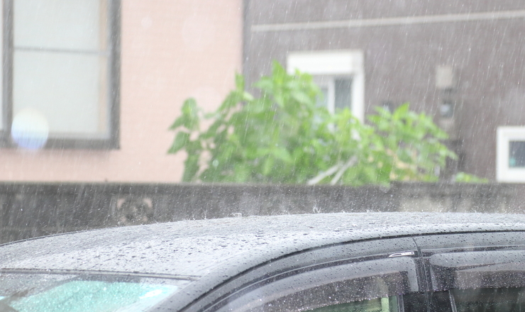 雨の画像