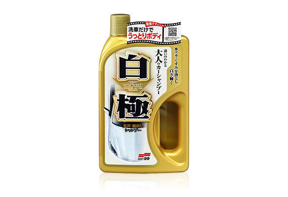 Kiwami Extreme Gloss Shampoo