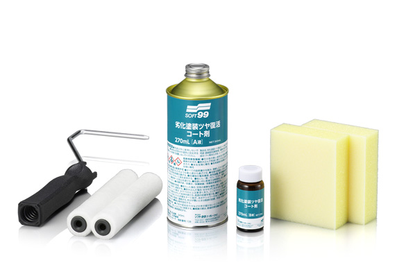 Painted Surface Restoration and Coating Kit 270ml